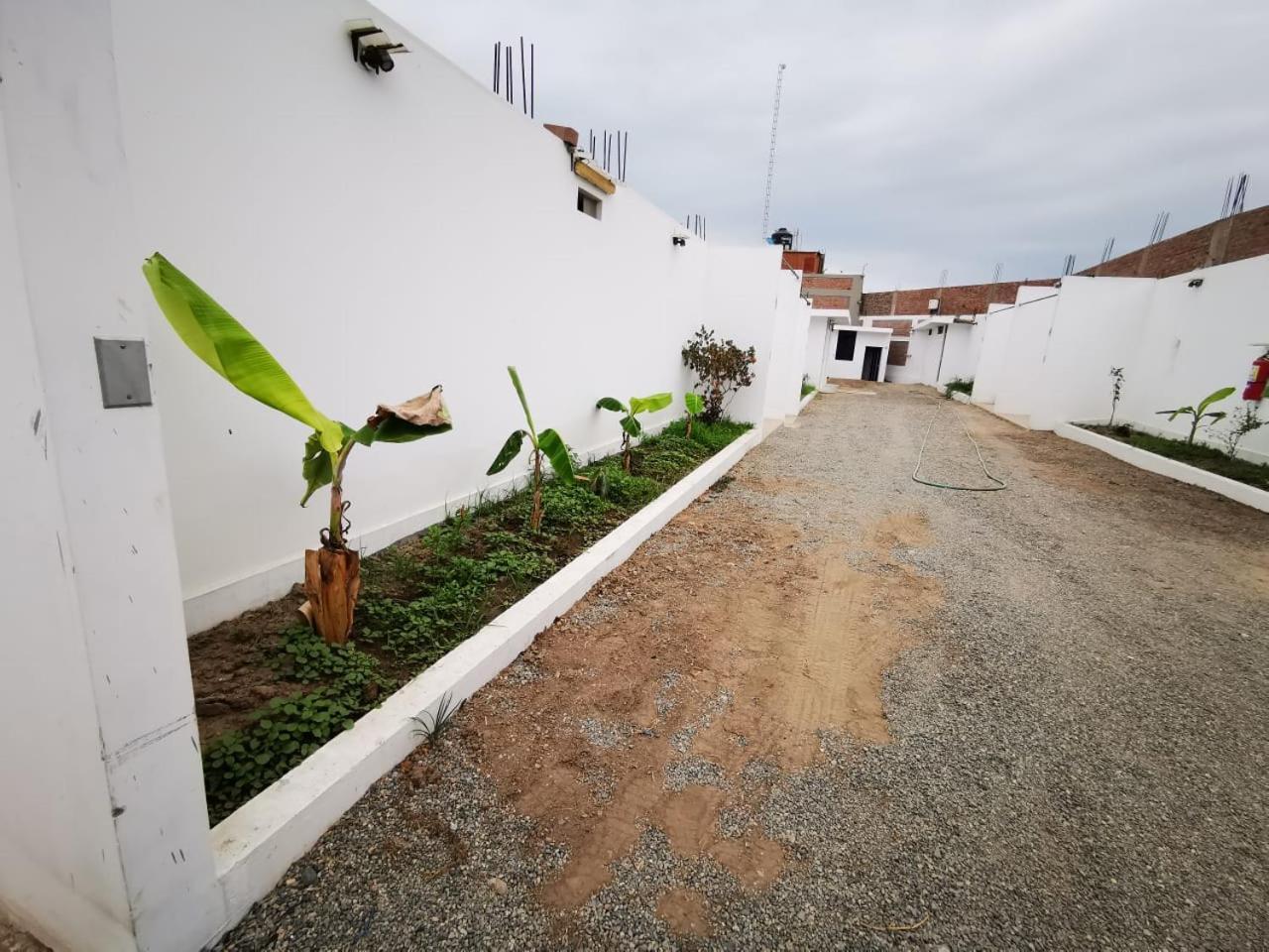 Bella Durmiente Hotel & Eventos Chincha Alta Dış mekan fotoğraf